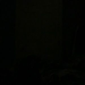 Meet your Posher, Reid